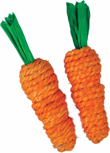 Picture of LOOFAH CARROTS