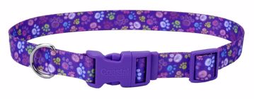 Picture of 5/8 IN.  ATTIRE COLLAR - PURPLE PAW