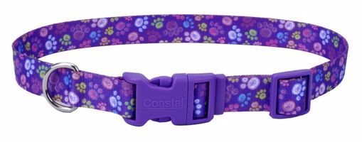 Picture of 1 IN.  ATTIRE COLLAR - PURPLE PAWS