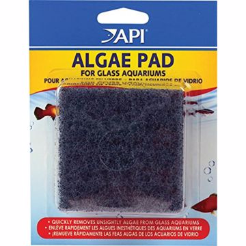 Picture of HAND HELD ALGAE PAD - GLASS