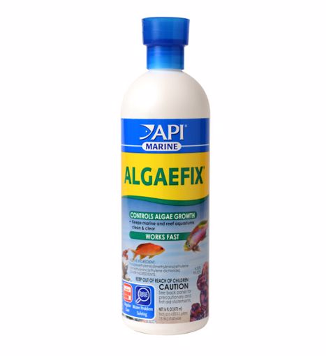 Picture of 16 OZ. ALGAEFIX - MARINE