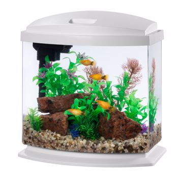 Picture of 2.5 GAL. KIT MINI BOW LED SMARTCLEAN WHITE