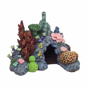 Picture of MINI CARIBBEAN REEF ORNAMENT