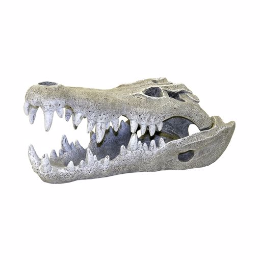 Picture of SM. NILE CROC SKULL ORNAMENT