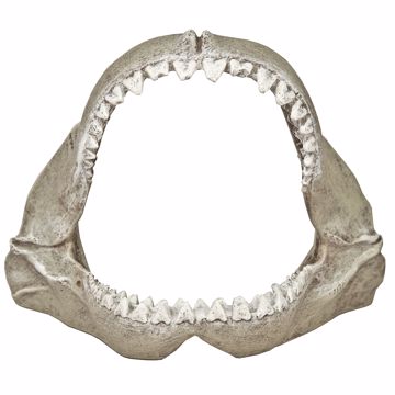 Picture of SM. SHARK JAWS ORNAMENT