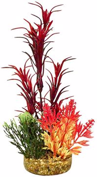 Picture of SEA GRASS PLANT - RED