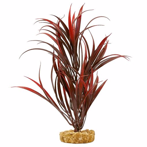 Picture of SWORD PLANT - RED