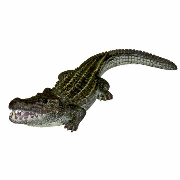 Picture of 11 INCH. BUBBLING GATOR ORNAMENT