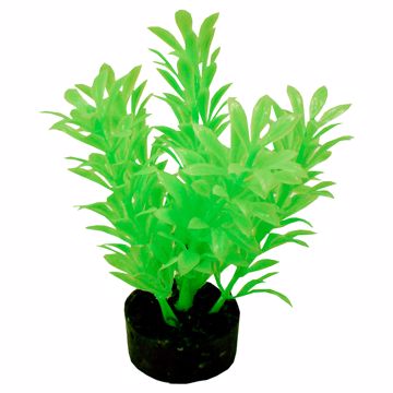 Picture of MINI NEON PLANT - GREEN