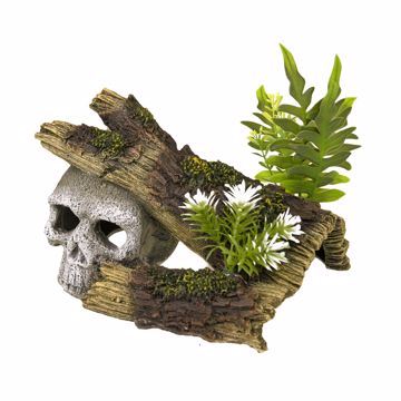 Picture of SKULL HIDEAWAY W/PLANTS ORNAMENT
