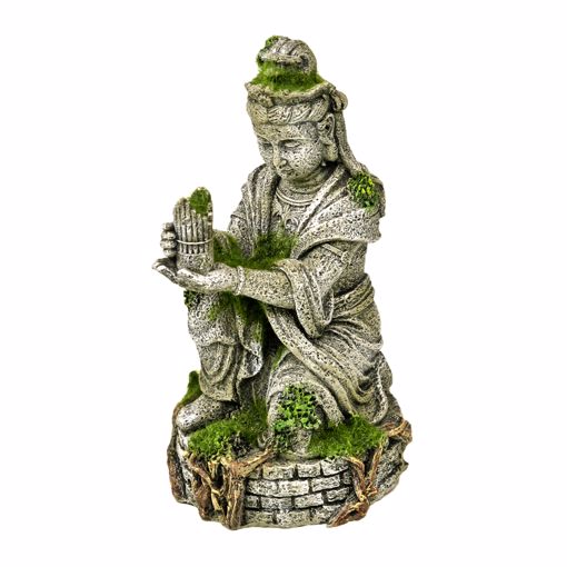 Picture of BUDDHA STATUE W/MOSS ORNAMENT