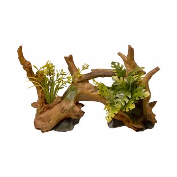 Picture of SM. DRIFTWOOD W/PLANTS ORNAMENT