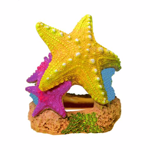 Picture of SEA STAR DUO ORNAMENT