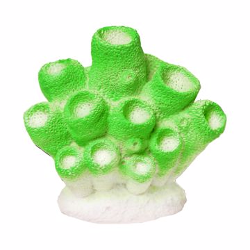 Picture of SPONGE CORAL - GREEN