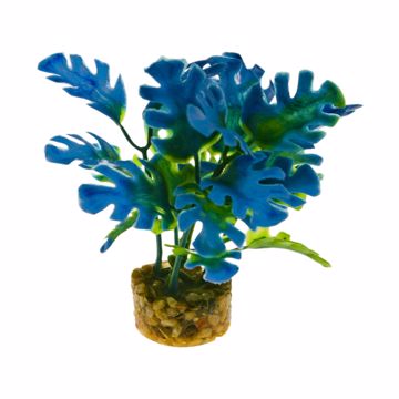 Picture of PHILO LEAF PLANT - BLUE