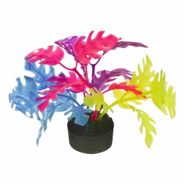 Picture of PHILO LEAF PLANT MULTI GLOW