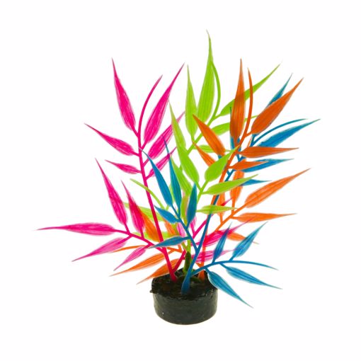 Picture of SCOOP PLANT MULTI GLOW