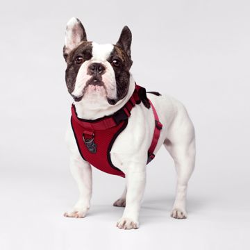 Picture of MED. EVERYTHING HARNESS - RED