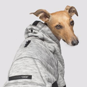 Picture of HERO HOODIE - GREY MIX - SIZE 14