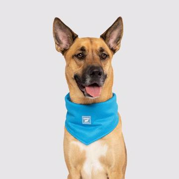 Picture of LG. COOLING BANDANA - BLUE