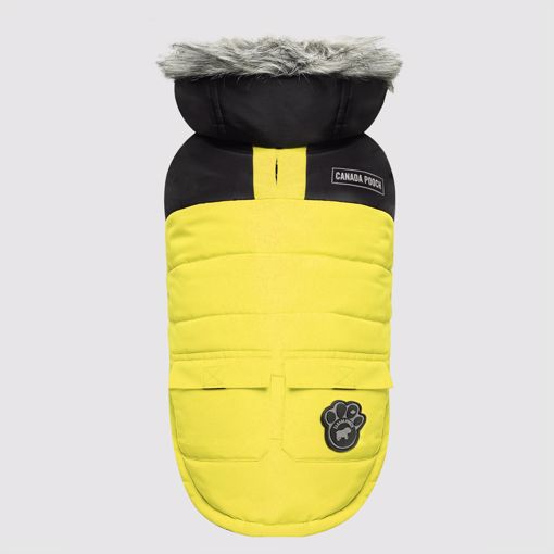 Picture of TRUE NORTH PARKA - YELLOW - SIZE 22