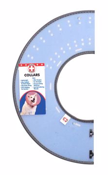Picture of 12+ MED. E-COLLAR - ASSTD. COLORS