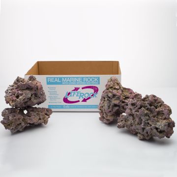 Picture of 20 LB. LIFE ROCK SHAPES (ARCHES AND TUNNELS) - BOX