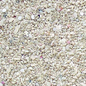 Picture of 10 LB. ARAGALIVE - SPECIAL GRADE REEF SAND