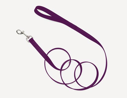 Picture of 5/8X4 FT. NYLON LEAD - PURPLE