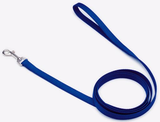 Picture of 5/8X6 FT. NYLON LEAD - BLUE