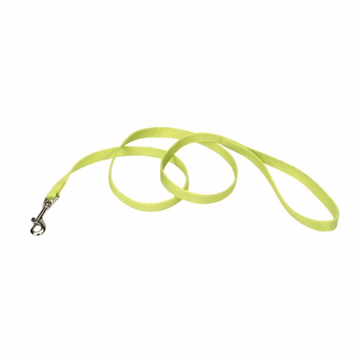 Picture of 5/8X 6 FT. NYLON TRAINING LEAD LIME