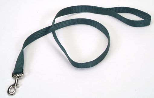 Picture of 1X6 FT. NYLON LEAD - HUNTER GREEN