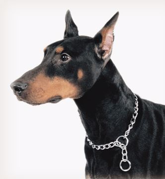 Picture of 18 IN. HEAVY CHOKE CHAIN COLLAR