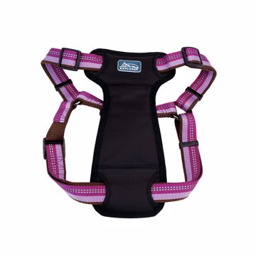 Picture of 1 X 26-38 IN. K9 EXPLORER ADJ. HARNESS - ORCHID