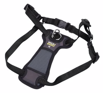 Picture of MED. WALK RIGHT HARNESS - BLACK