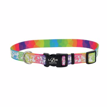 Picture of 5/8X 12-18 IN. LAZER BRITE COLLAR - RAINBOW HEART