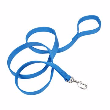 Picture of 5/8X 6 FT. NYLON TRAINING LEAD BLUE LAGOON