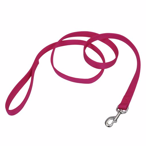 Picture of 5/8X 6 FT. NYLON TRAINING LEAD PINK FLAMINGO