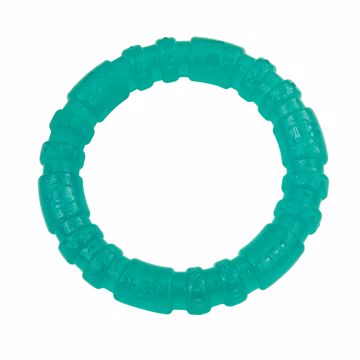 Picture of 4 IN. LIL PALS ANTIMICROBIAL RING - TEAL