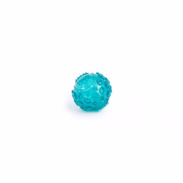 Picture of SM. ZIPPYTUFF SQUEAKER BALL - TEAL