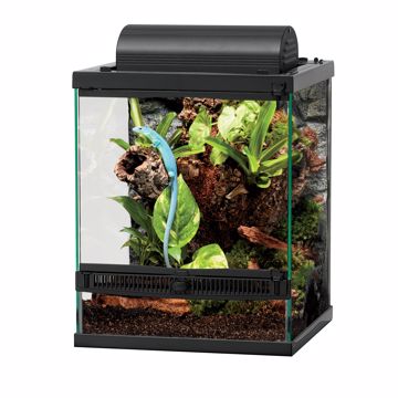 Picture of FRONT OPEN TERRARIUM 12X12X15