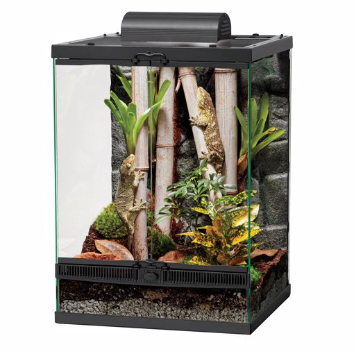 Picture of FRONT OPEN TERRARIUM 18X18X25