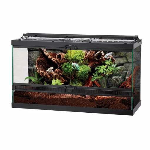 Picture of 20L FRONT OPEN TERRARIUM