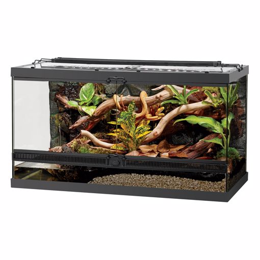 Picture of 40BR FRONT OPEN TERRARIUM