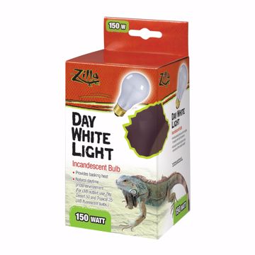 Picture of 150 W. DAY WHITE INCD. BULB