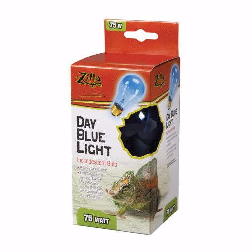 Picture of 75 W. DAY BLUE INCD. BULB