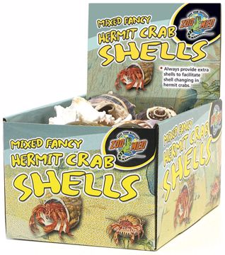 Picture of 24 PC. HERMIT CRAB FANCY SHELLS DISP.