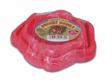 Picture of HERMIT CRAB F/W NEON DISH-RED