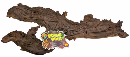 Picture of JUMBO AFRICAN MOPANI WOOD