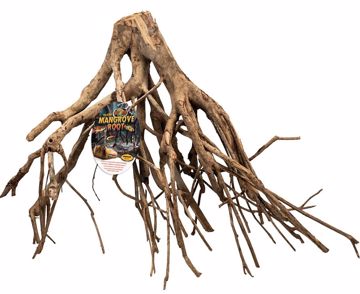 Picture of MED. TALAWA MANGROVE ROOT